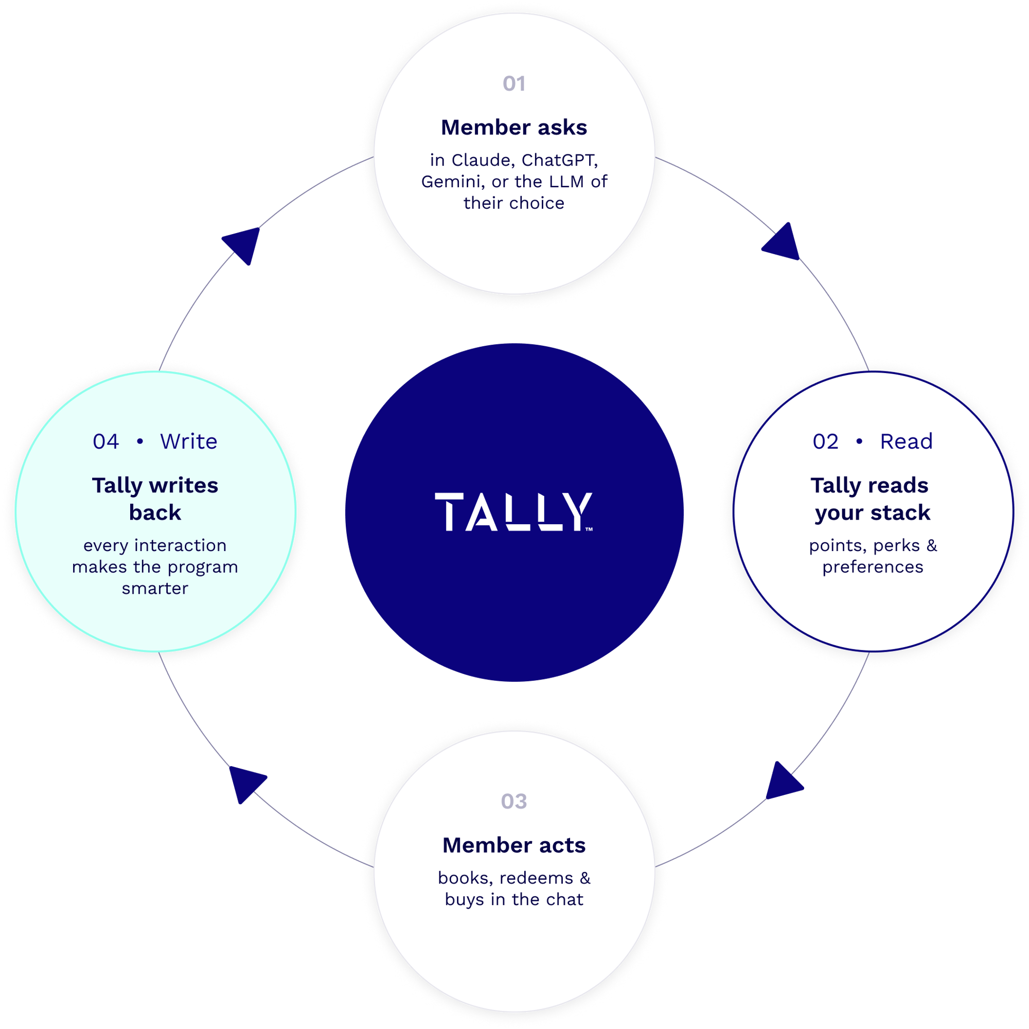 Phaedon-Tally-Image-4